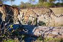 20090618_074822 D3 (2) X1